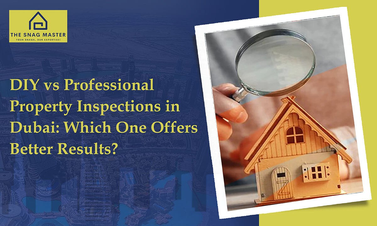 DIY vs Professional Property Inspections