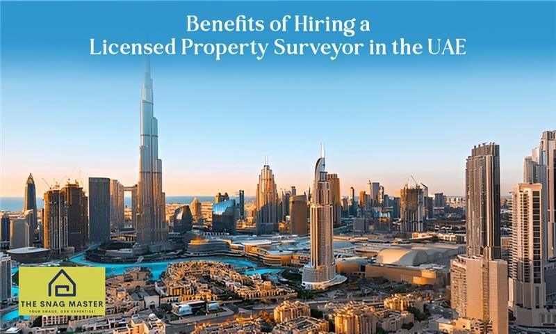 Licensed Property Surveyor