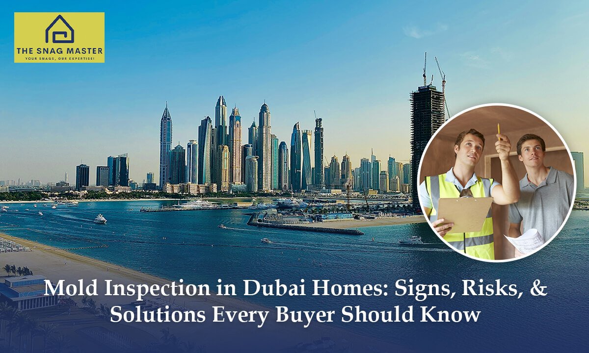 Mold Inspection in Dubai Homes